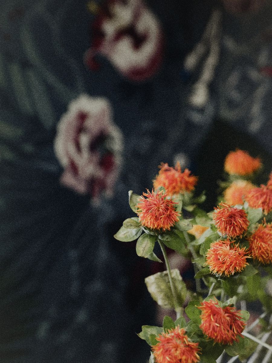 Fior di campo, floristería
